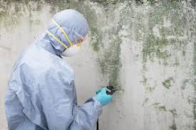 Mold Removal for HVAC Installations in Mena, AR